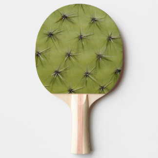 Raquette De Ping Pong Palette de ping-pong de cactus de nouveauté pour