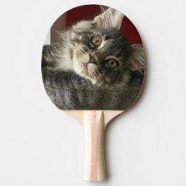 Raquette De Ping Pong Palette de ping-pong de chaton de ragondin du