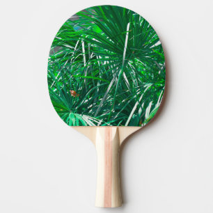 Raquette De Ping Pong Palmier vert plante pastel feuille