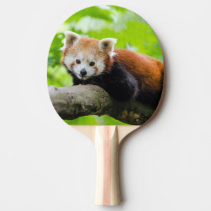Raquette De Ping Pong Panda rouge