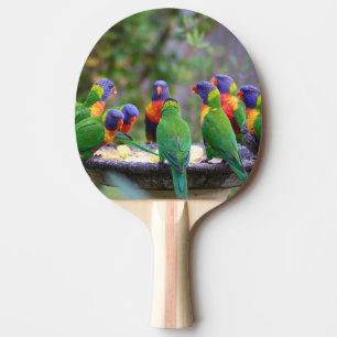 Raquette De Ping Pong Parrots colorés Arc-en-ciel Lorikeet Manger