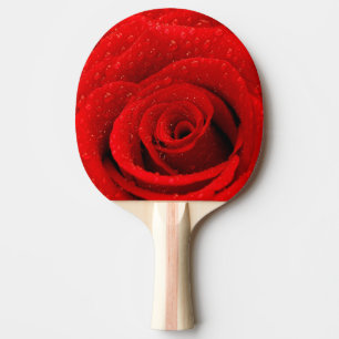 Raquette De Ping Pong Photo d'arrière - plan de rose rouge