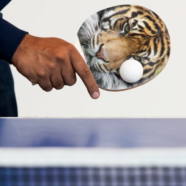 Raquette De Ping Pong Photo de la faune du tigre de Sumatran (Insitu)