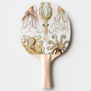 Raquette De Ping Pong Pieuvre Calmar, Gamochonia par Ernst Haeckel