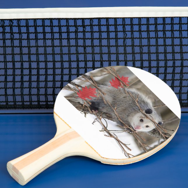 Raquette De Ping Pong Ping Pong Paddle Opossum Nature (Insitu)
