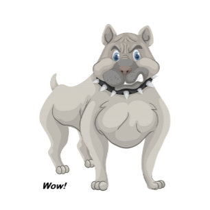 Raquette De Ping Pong Pitbull