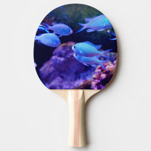 Raquette De Ping Pong Poisson bleu tropical
