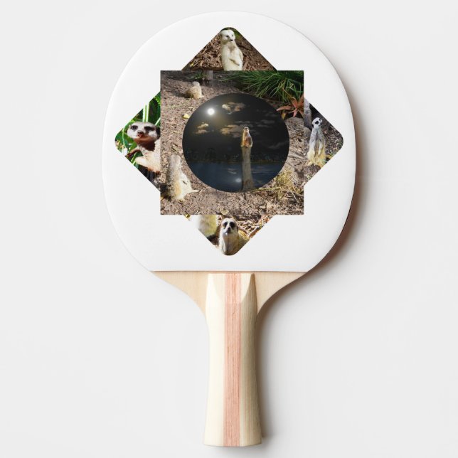 Raquette De Ping Pong Polyscope de suricate,  (Devant)