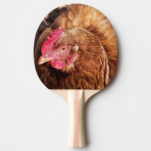 RAQUETTE DE PING PONG POULET CUIT (Devant)