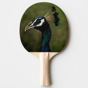 Raquette De Ping Pong Profil de Peacock