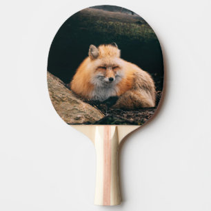 Raquette De Ping Pong Red Fox dormant