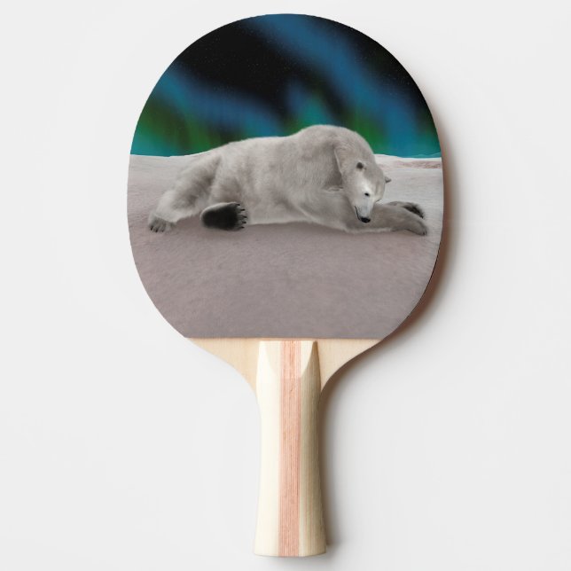Raquette De Ping Pong Repose de l'ours polaire (Devant)