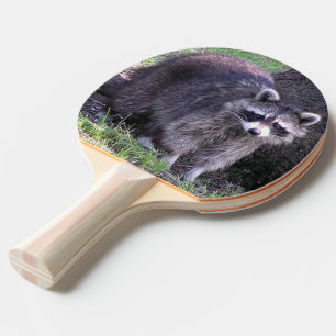 Raquette De Ping Pong Rocky le Raccoon