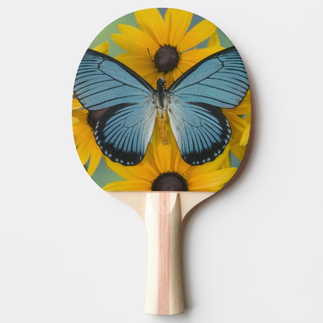 Raquette De Ping Pong Sammamish Washington Photo de Papillon (Devant)