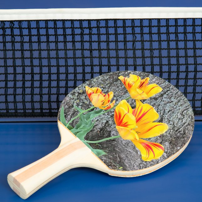 Raquette De Ping Pong Séquence de trois tulipes jaunes / (Insitu)