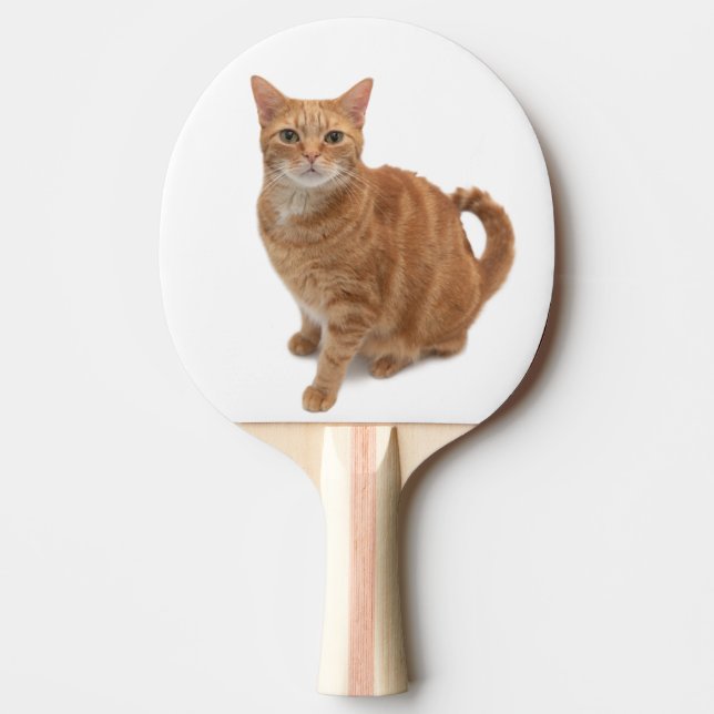 Raquette De Ping Pong Stade de Cat orange (Devant)
