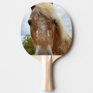 Raquette De Ping Pong Sucre Le Cheval Appaloosa,