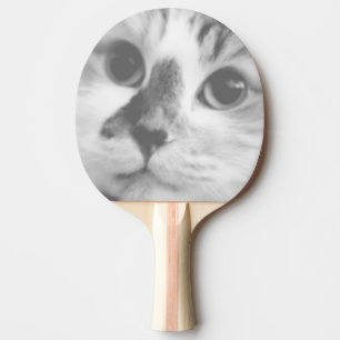 Raquette De Ping Pong SUPER CUTE Kitten Cat Portrait