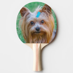 Raquette De Ping Pong Tête de chien de Terrier du Yorkshire