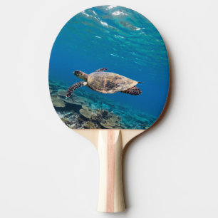 Raquette De Ping Pong Tortue de mer