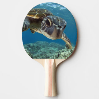 Raquette De Ping Pong Tortue de mer verte hawaïenne