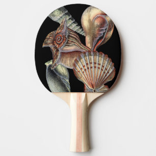 Raquette De Ping Pong Trésors de la mer