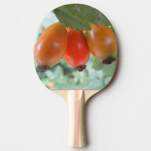 Raquette De Ping Pong Trois cynorhodons orange