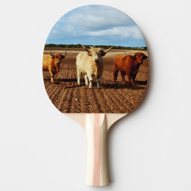Raquette De Ping Pong Vaches vilaines des Highlands, (Devant)