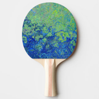 Raquette De Ping Pong Vert bleu