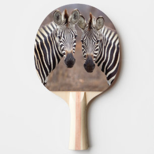 Raquette De Ping Pong Zèbres des plaines, parc national Kruger