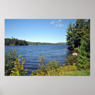 Raquette Lank im Adirondack print 08 229 Poster