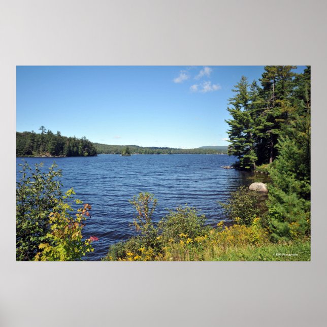 Raquette Lank im Adirondack print 08 229 Poster (Vorne)