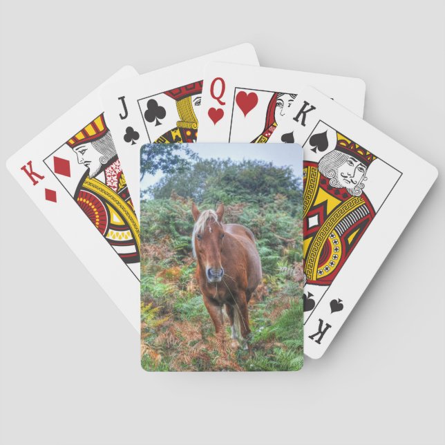 Rare Palomino New Forest Pony & Bracken - England Spielkarten (Rückseite)