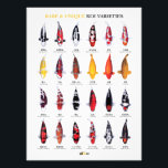 Rare & Unique Koi Varieties Poster<br><div class="desc">Celebrate the beauty of modern Japanese koi with this Rare & Unique Koi Varieties poster. This detailed chart features 24 distinctive Nishikigoi varieties, carefully illustrated and labeled with their Japanese and English names. Perfect for koi enthusiasts, pond keepers, aquascape lovers, and collectors, this artwork highlights rare and unusual koi such...</div>