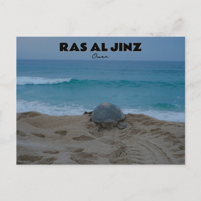 Ras al Jinz Postcard Postkarte (Vorderseite)