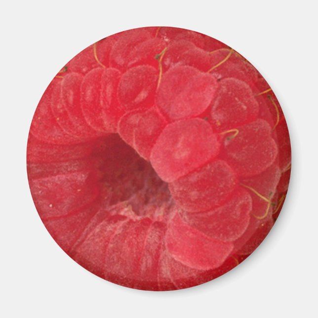 Rasberry Magnet (Vorne)