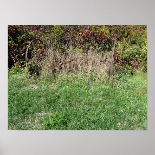 Rasen auf den Wegen Poster (Vorne)