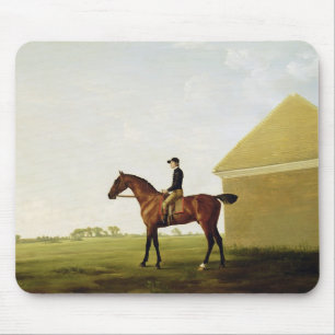 Rasen, c.1765 (Öl auf Leinwand) (sehen Sie 152743 Mousepad