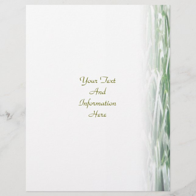 Rasen-Flyer Flyer (Vorne)