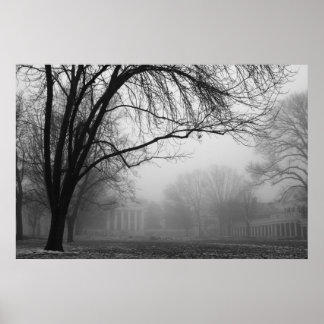 Rasen im Nebel Poster