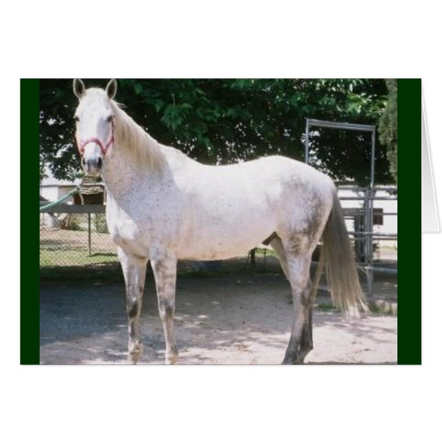 rasend (Vorderseite (Horizontal))