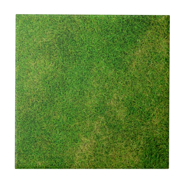 Rasenfläche Fliese (Vorderseite)