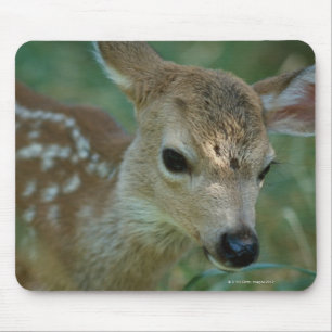 Rasenfläche Mousepad