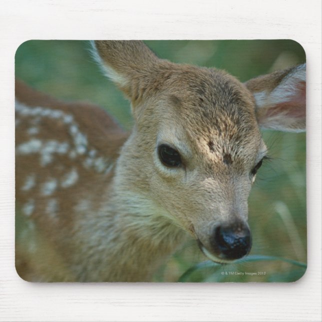 Rasenfläche Mousepad (Vorne)