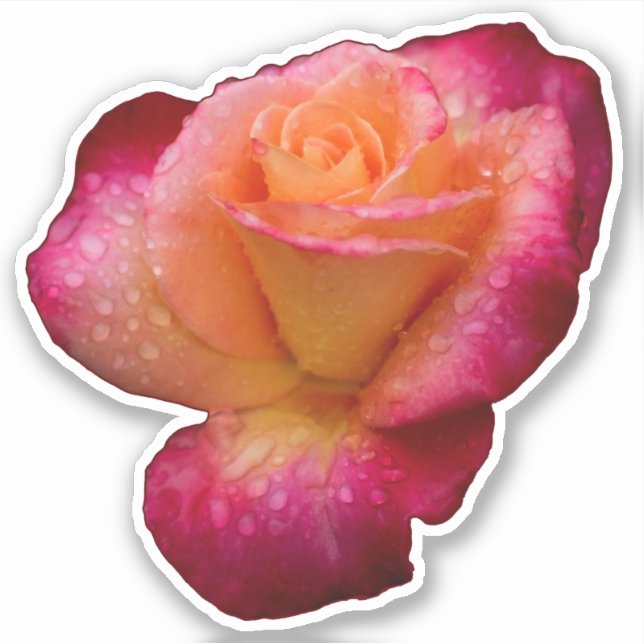Rasiergruppen auf Rose Aufkleber (Vorderseite)