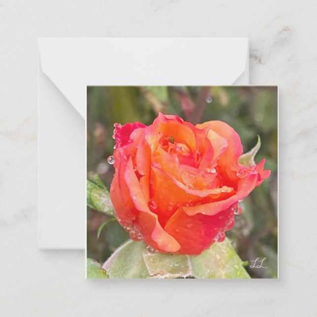 Rasiergruppen auf Rose Mitteilungskarte (Vorderseite)