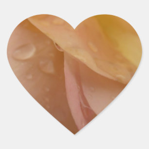 Rasierropfen auf Rose Petals Pink Peach Floral Herz-Aufkleber
