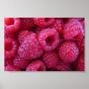 Raspberries Poster