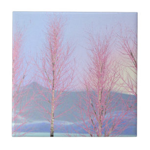 Raspberry Creme Birch Fliese