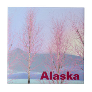 Raspberry Creme Birch Fliese